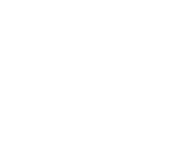 Icon Number 1