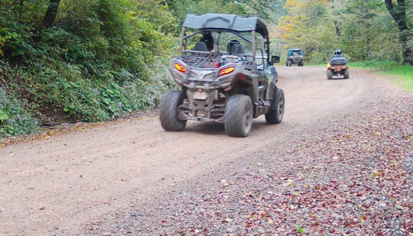 08