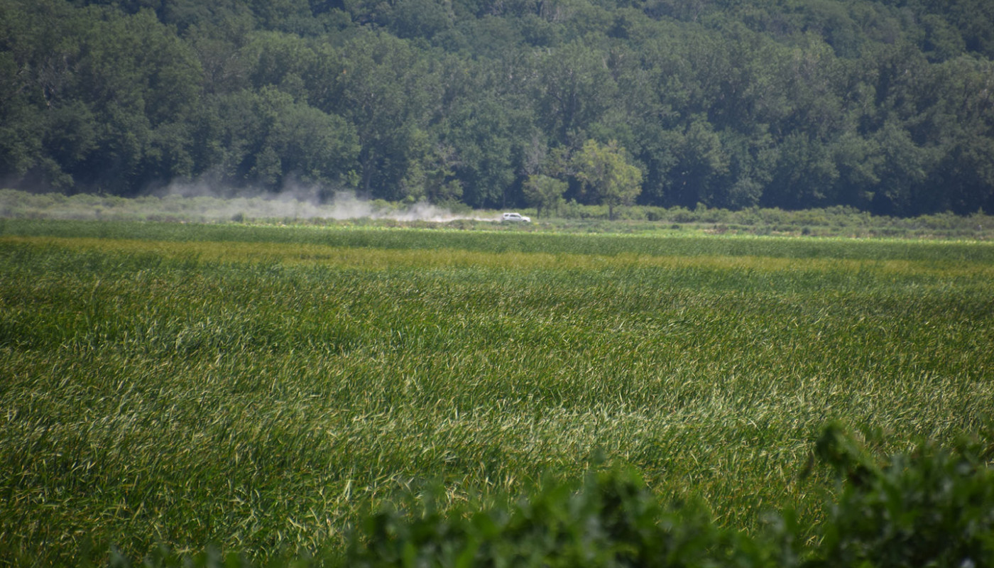10a Squaw Creek NWF Wetlands Erosion Control