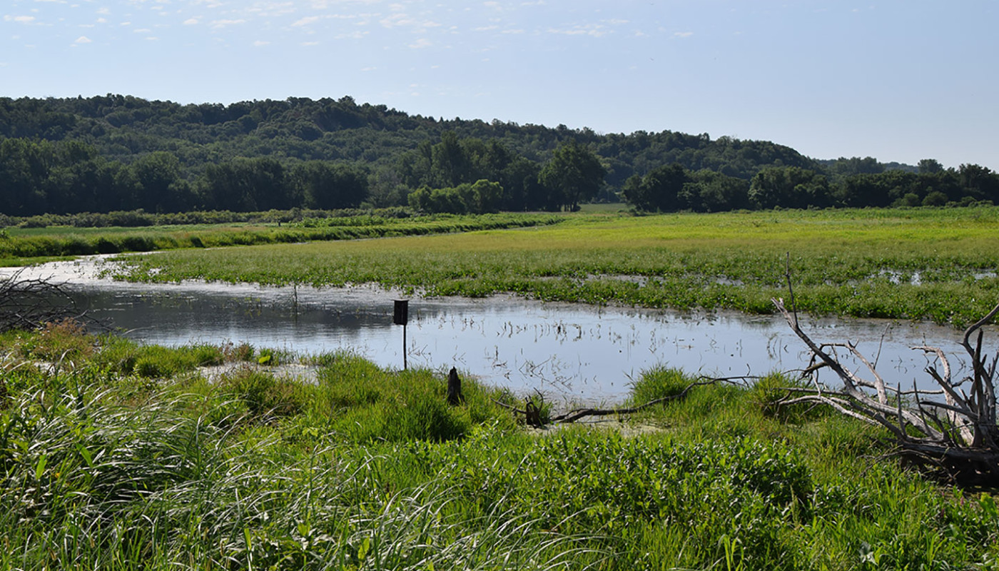 29a Squaw Creek NWF Wetlands Erosion Control