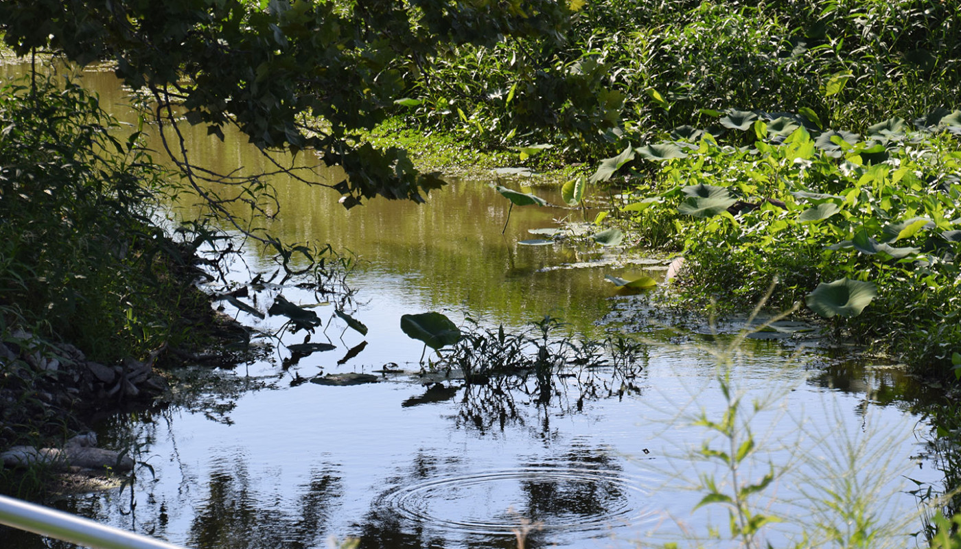 30a Squaw Creek NWF Wetlands Erosion Control