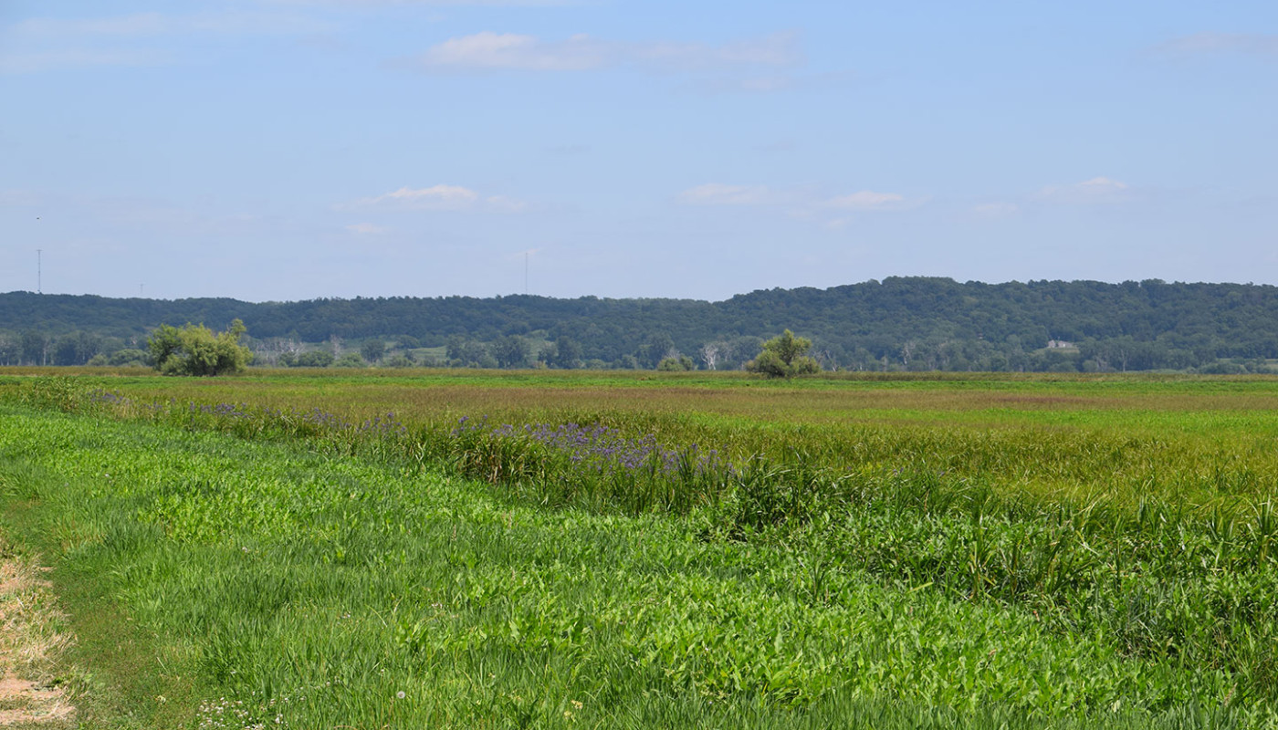 31a Squaw Creek NWF Wetlands Erosion Control