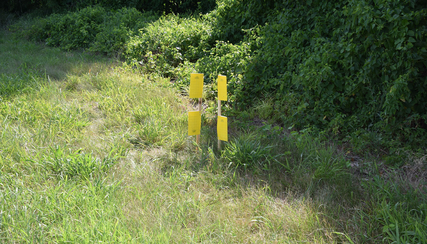 34a Squaw Creek NWF Wetlands Erosion Control