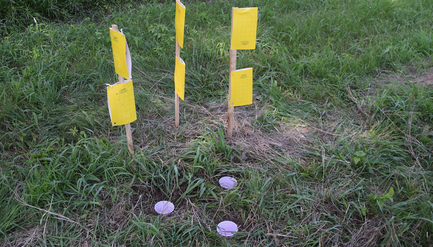 35a Squaw Creek NWF Wetlands Erosion Control