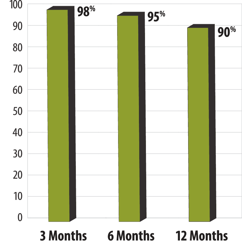 Dust Control Services Chart 2
